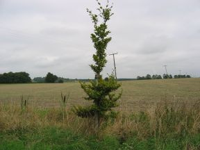 Greenwich Meridian Marker; England; Cambridgeshire; Orwell